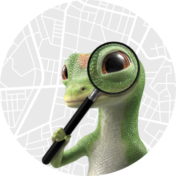 gecko